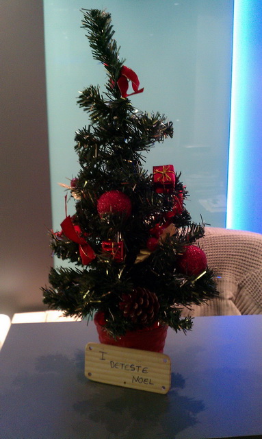2010-12-23 Devant la porte d entree_l.jpg